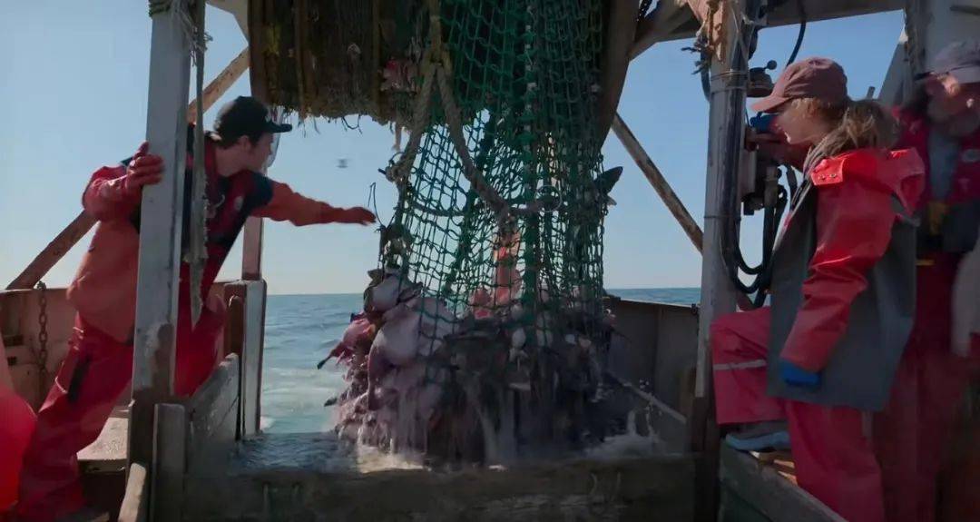 因为|豆瓣8.6，2022年奥斯卡最佳电影！