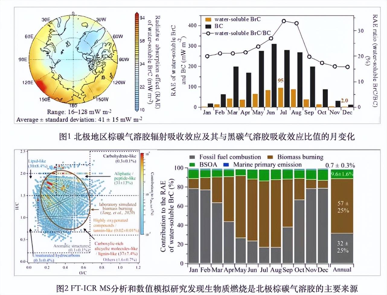 天津大学团队揭示：森林野火对北极变暖有重要影响