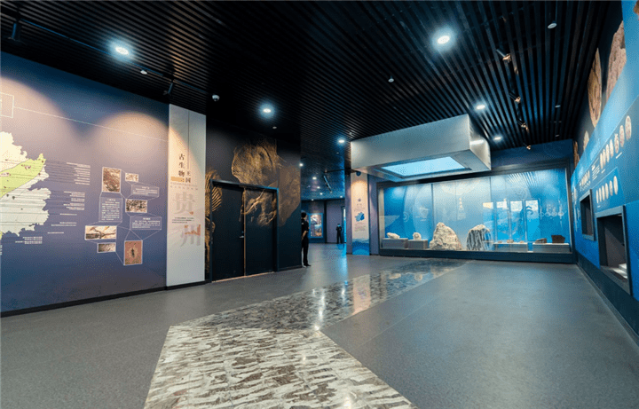 馆藏贵州|走进"贵州龙"