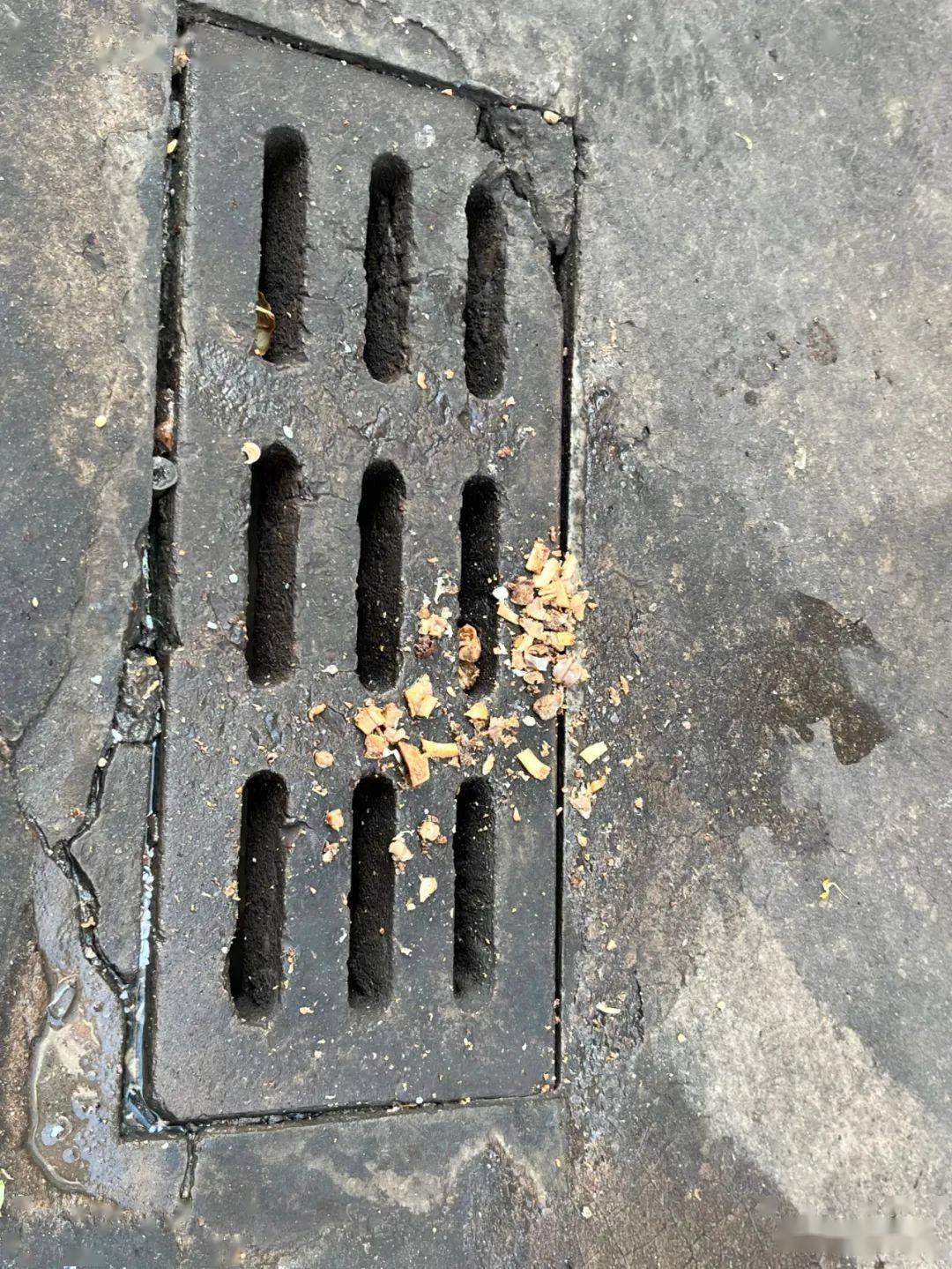 楚雄街头部分下水道成了泔水桶排污口堵塞路面油腻不堪