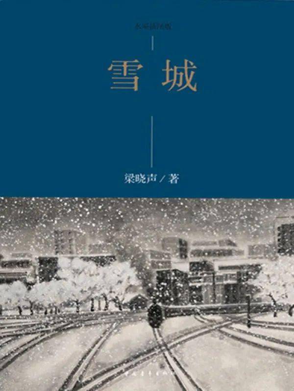 电视剧雪城剧情介绍图片