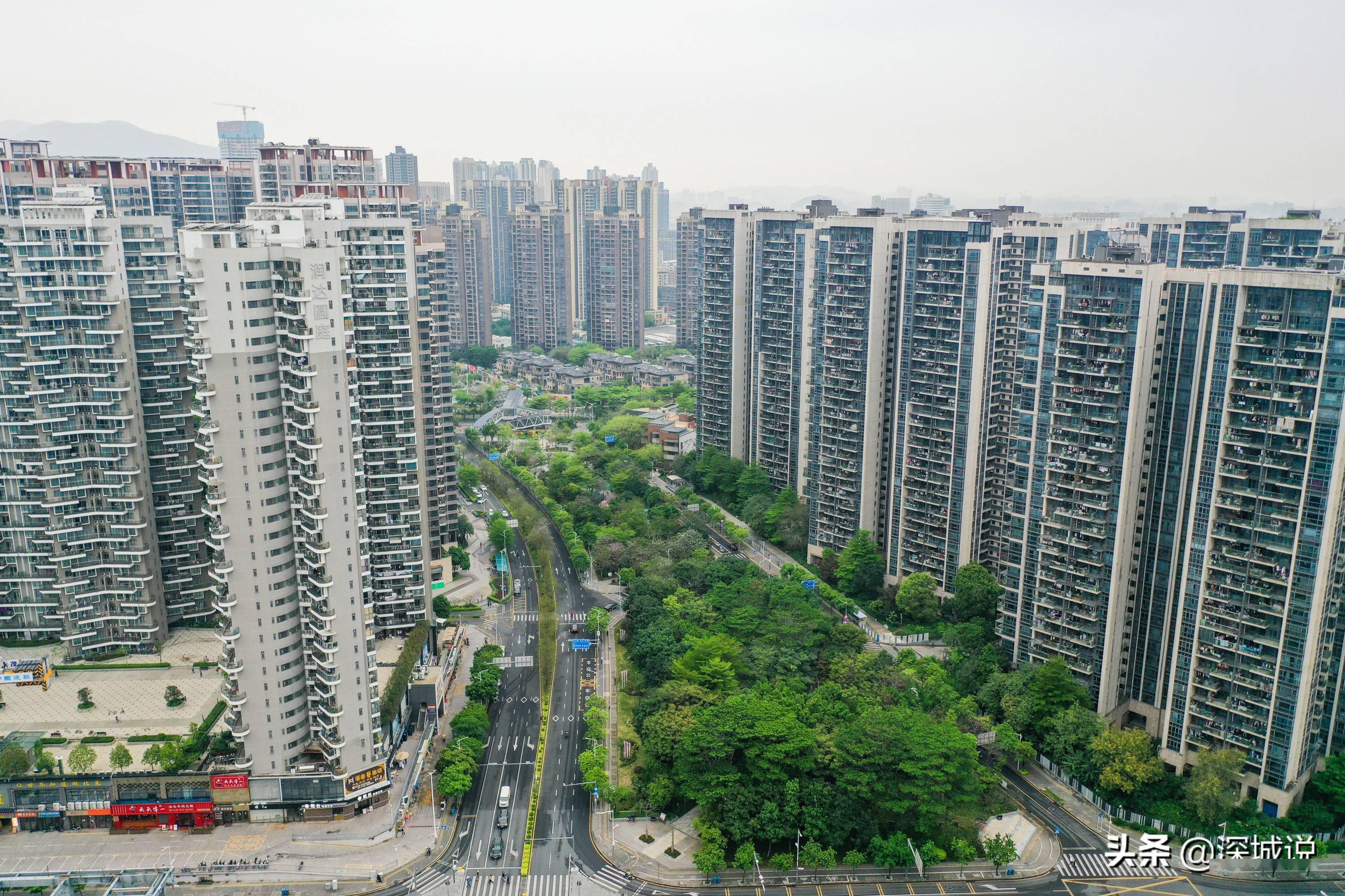 看深圳龙华区发展欣欣向荣,商住楼宇林立,公园绿地穿插其间