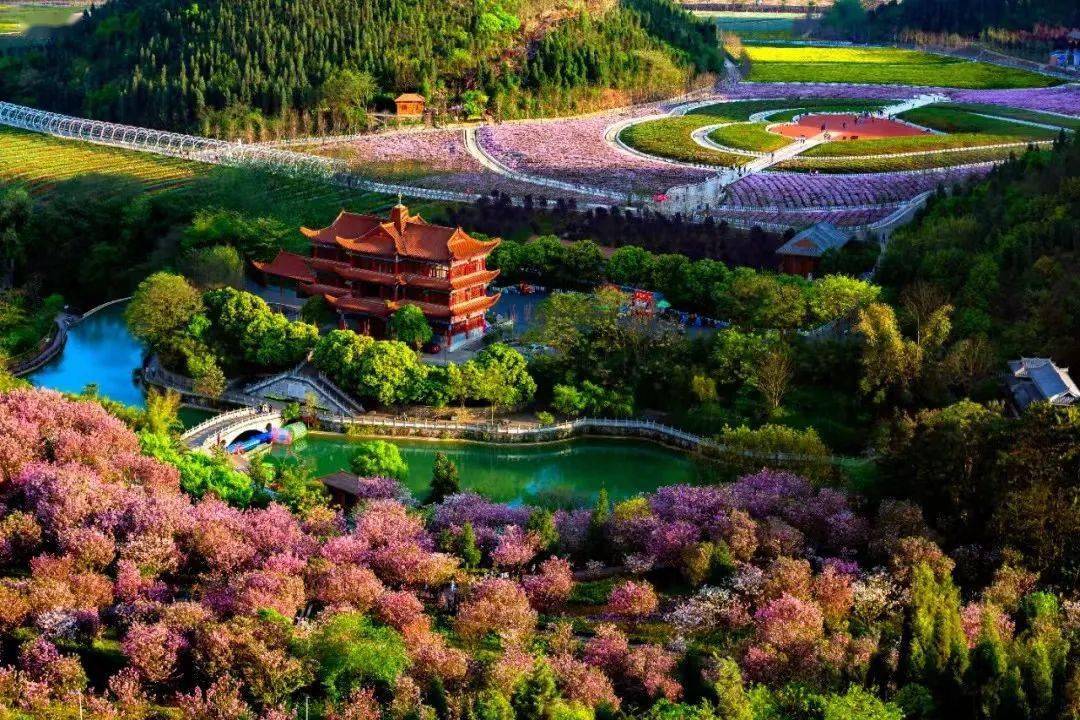 三月赏花打卡地兴义贵州醇景区