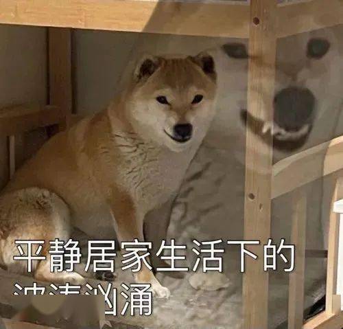 好想想想出去玩