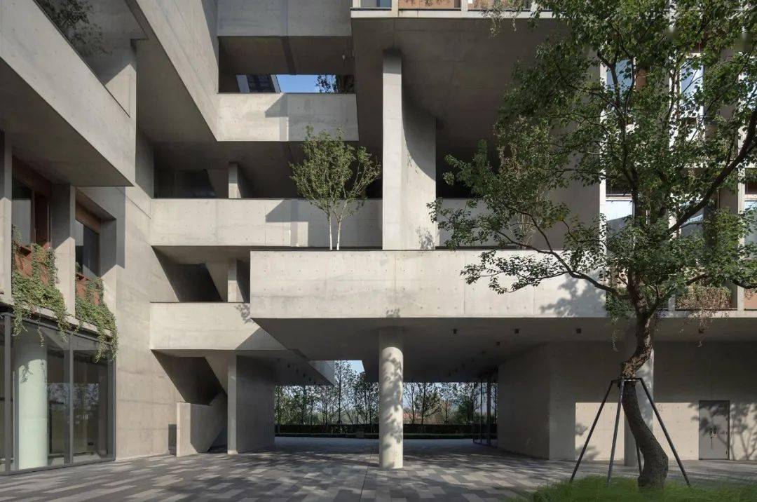 董功新作麓湖漂浮总部