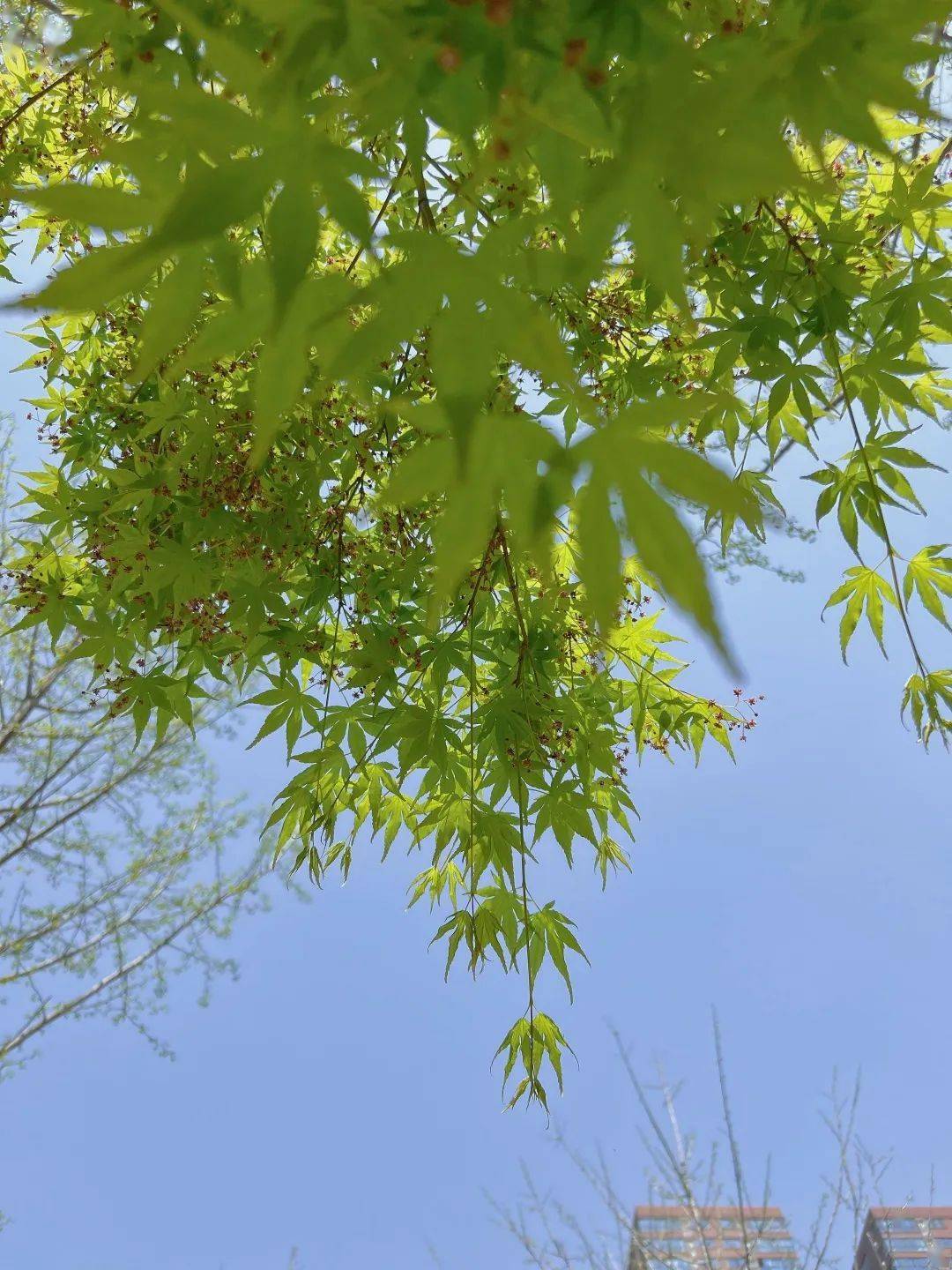 走進隴海線鐵路主題公園,讓我們跟隨春天的腳步,一派生機盎然