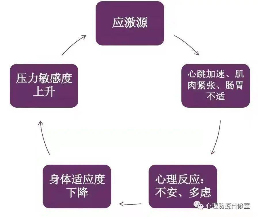 心理应激 来自搜狐网