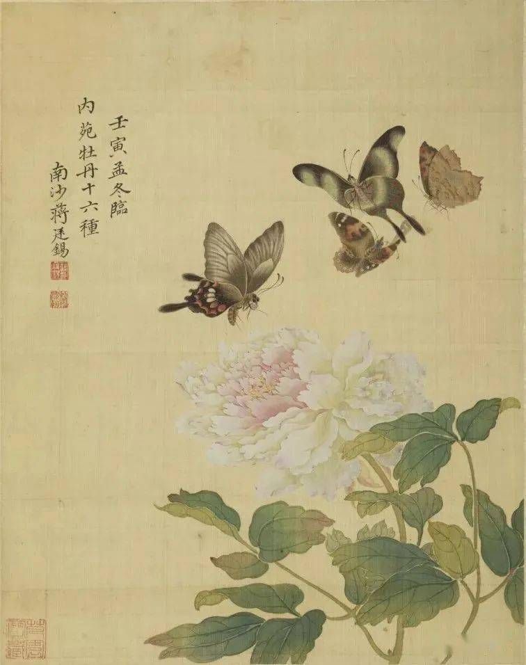 故宫馆藏精品蒋廷锡牡丹十六种图册欣赏