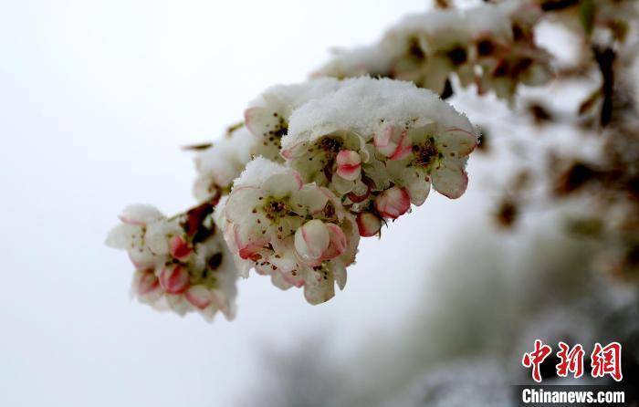 四川丹巴：春雪后的“美人谷”如仙境