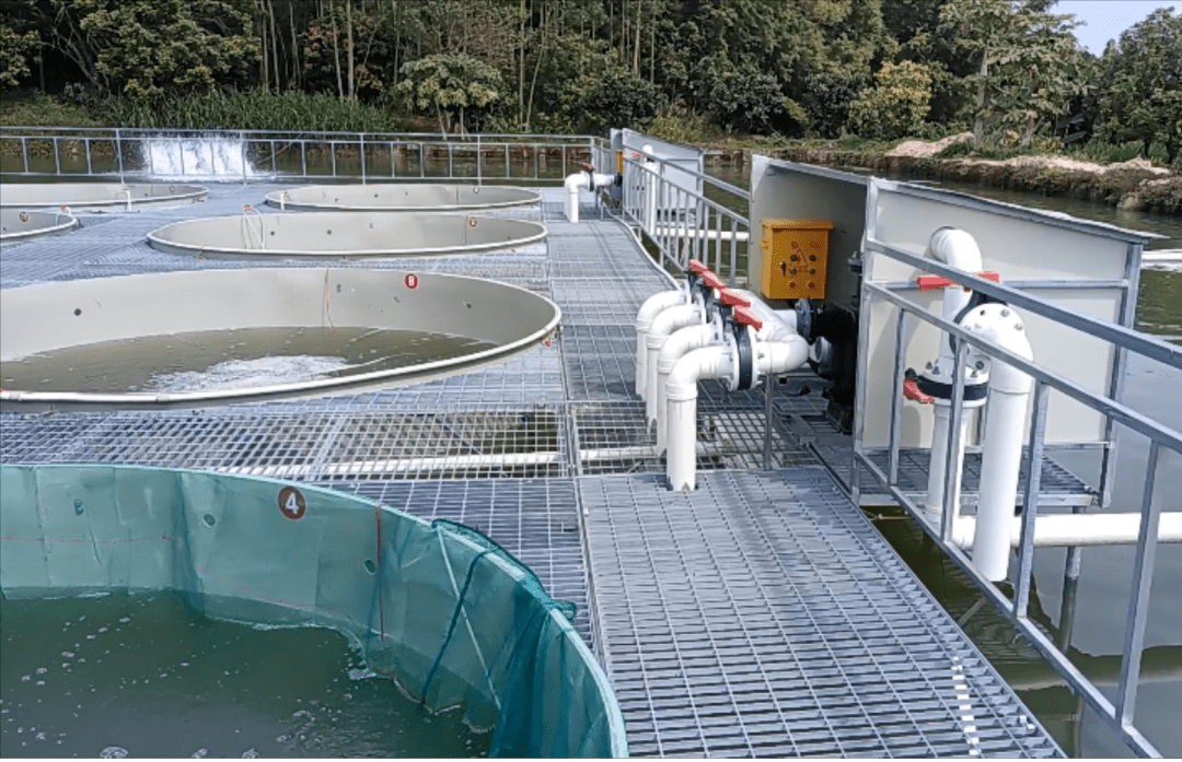 这七种成熟的养殖尾水处理模式你看好哪个