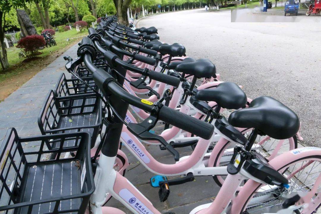 服务师生百件实事校园共享单车上新新伙伴小粉来啦