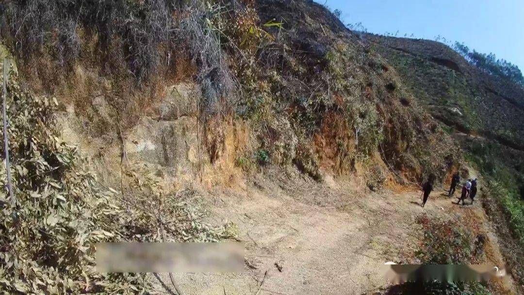 抓抓抓五华这几名男子放火烧山