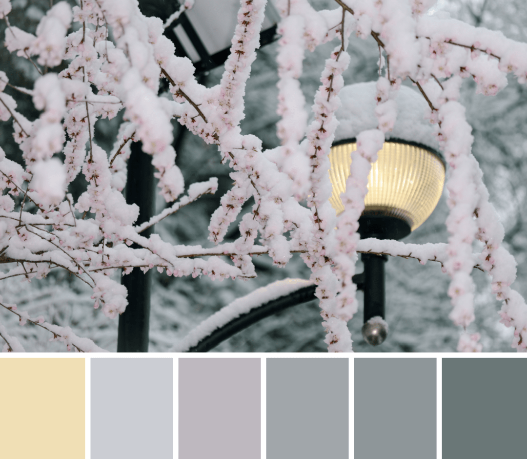 清华春日色卡 | 人间四月天,我想见你_黄沐瑶_春光_姚铭