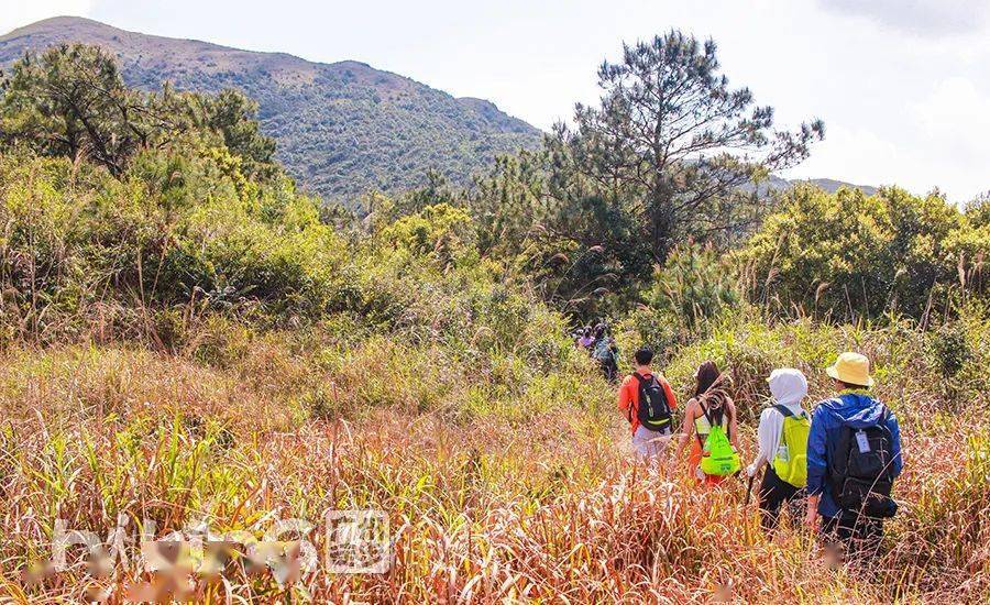 云浮大云雾山一日游图片