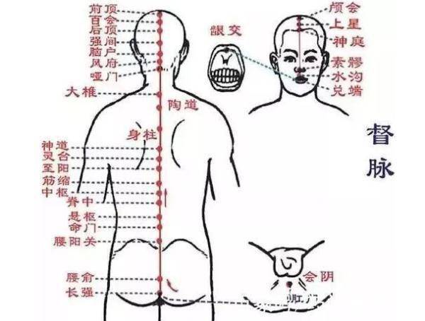 胆经不能随便敲敲错反伤身