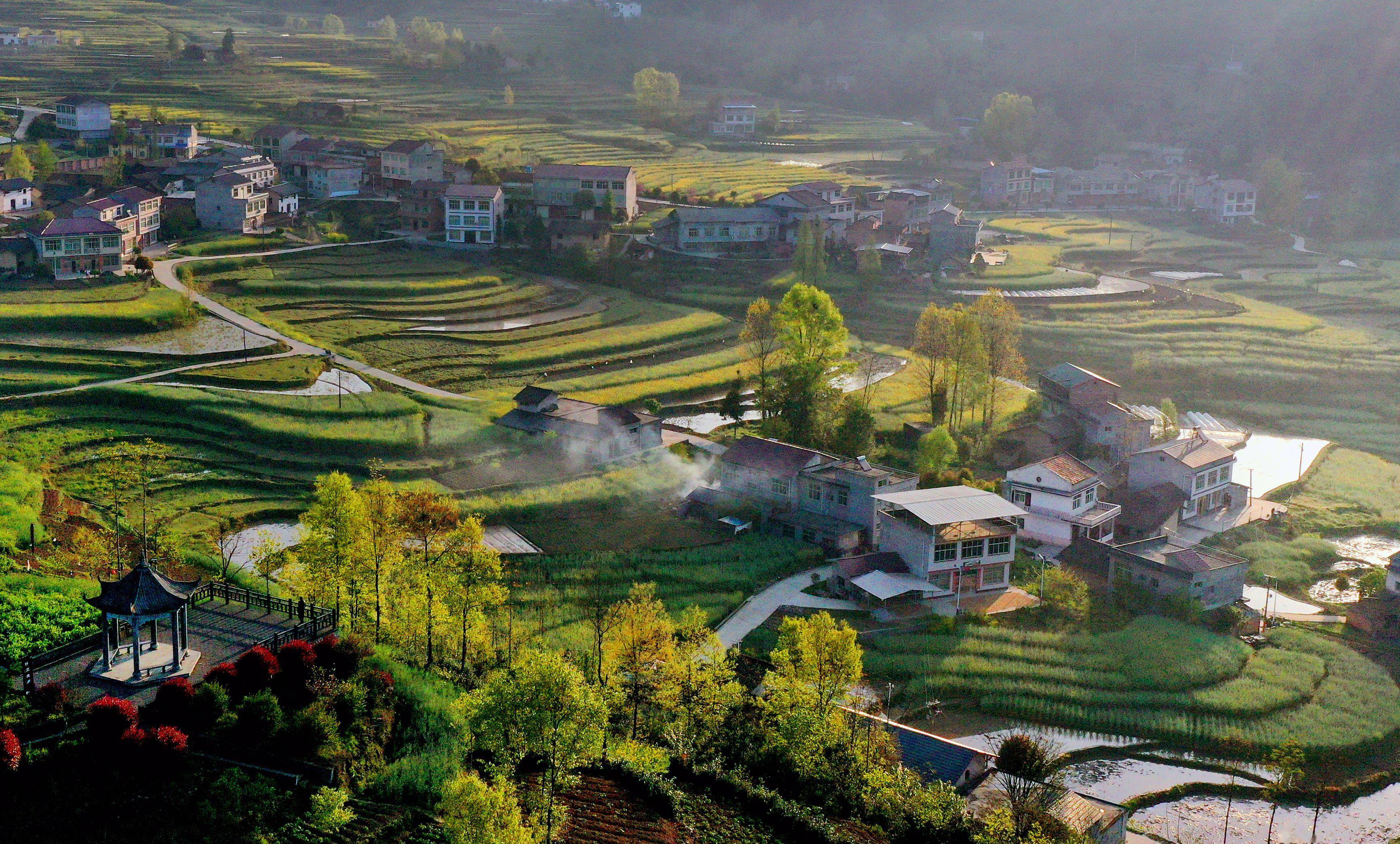 凤阳小田园图片