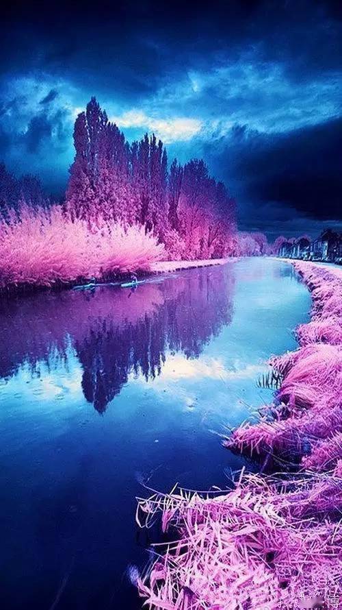 116张新照片美醉了