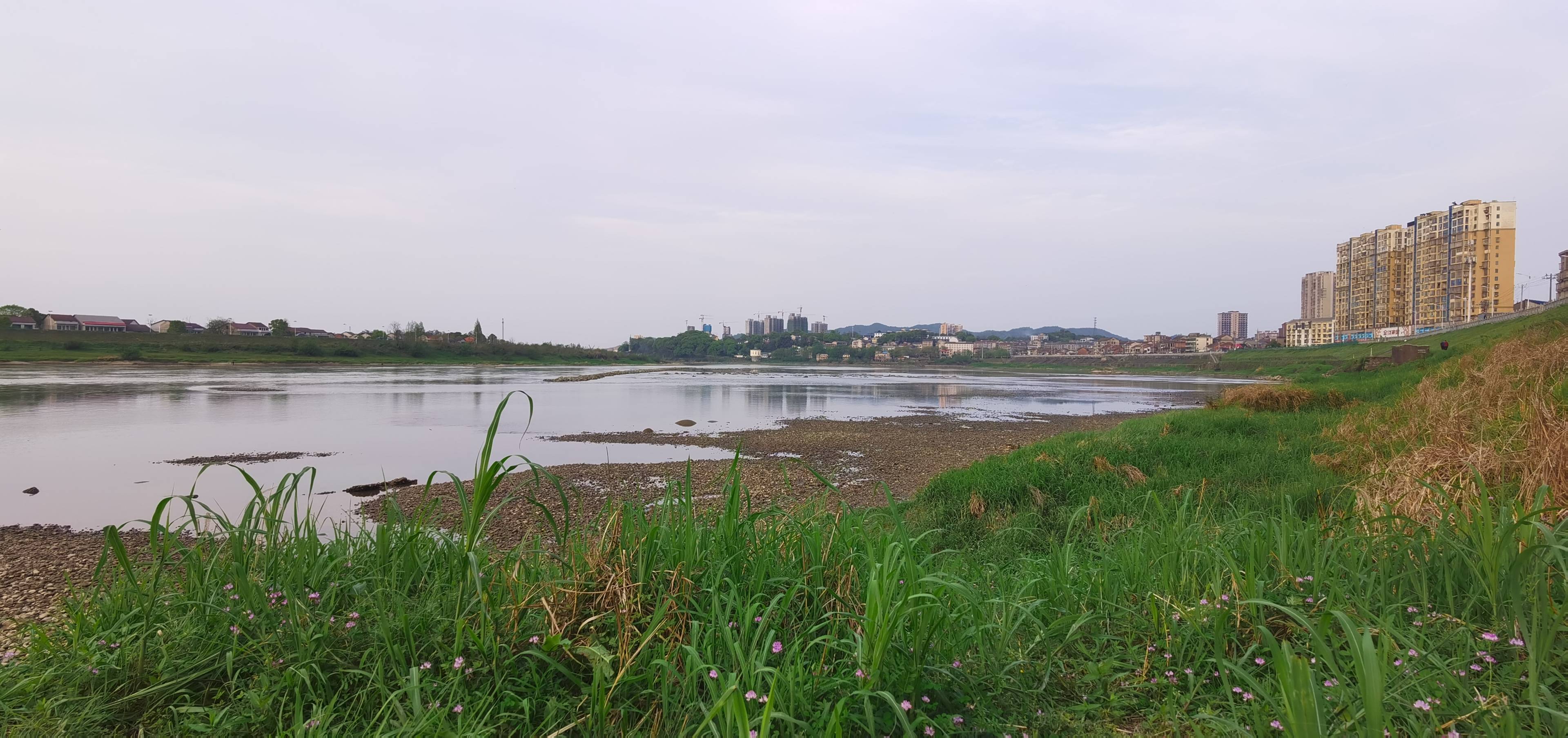 重188公斤资水干流桃江段首次发现野生娃娃鱼