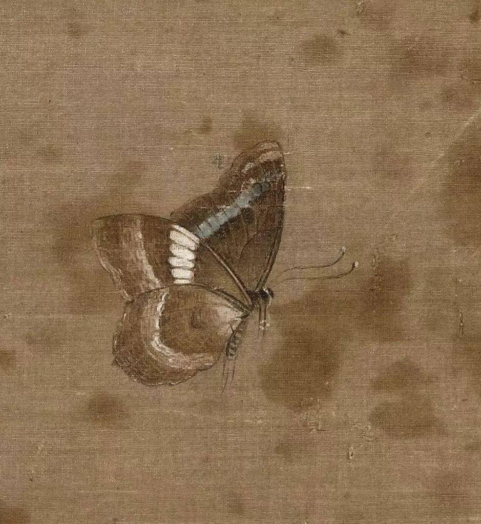 欣赏|北宋画家赵昌工笔花鸟画47图形态逼真敷色鲜艳（4）