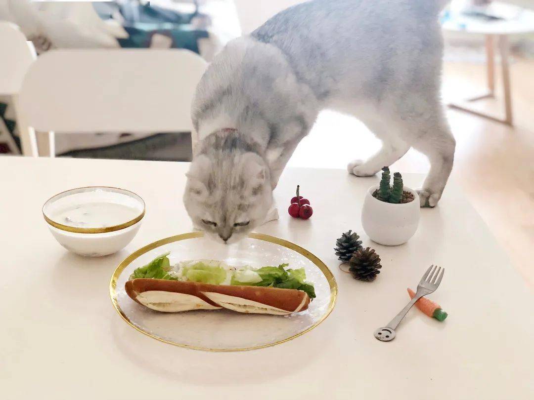 暖阳与春风调制的早餐,所有美好初始于这一刻。