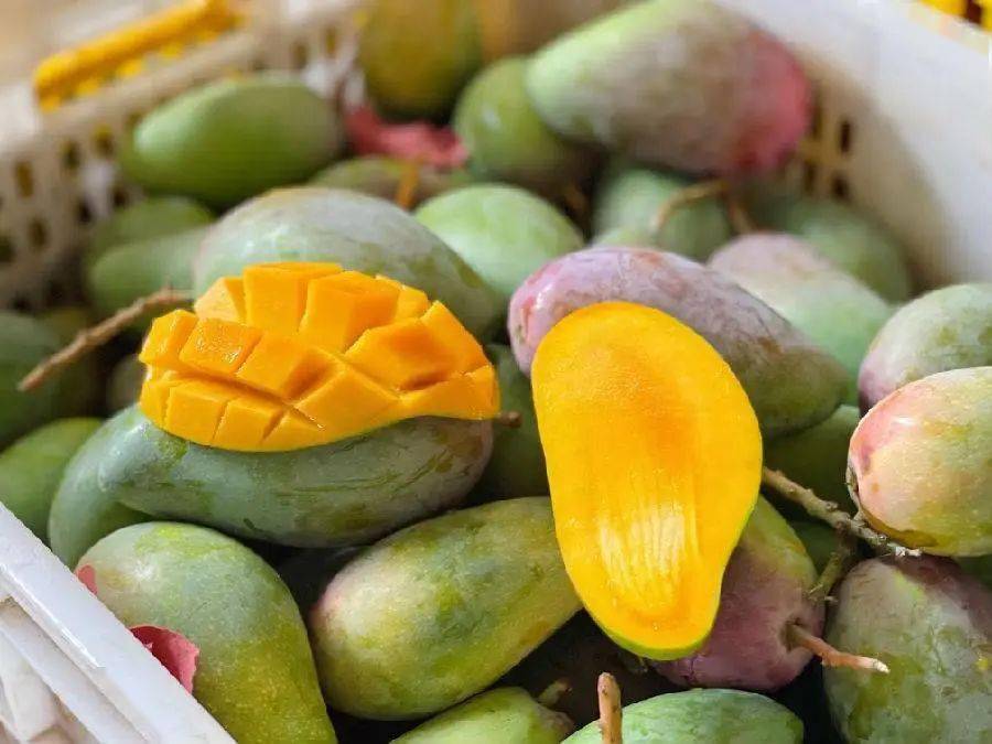 9抢海南贵妃芒(8斤装)_芒果_水果_果香