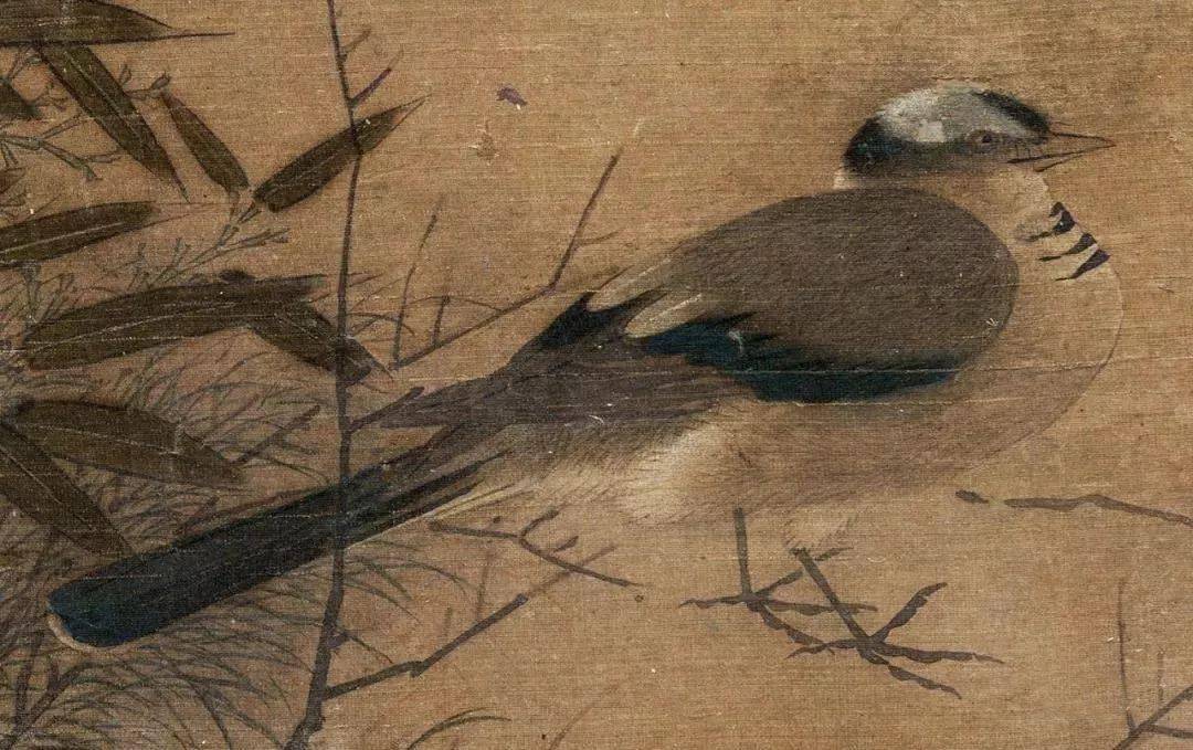 欣赏|北宋画家赵昌工笔花鸟画47图形态逼真敷色鲜艳（4）