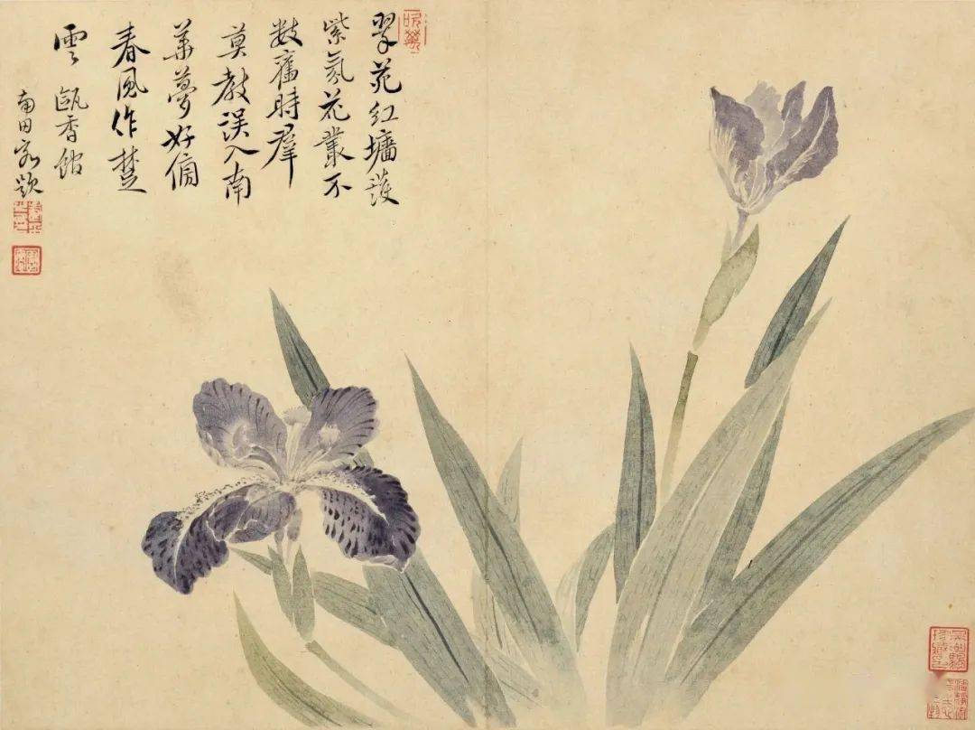 好美的没骨画!_恽寿平_书画_频道