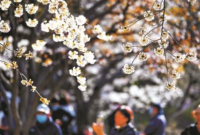 玖富万卡还款客服电话 Y7 千牛网