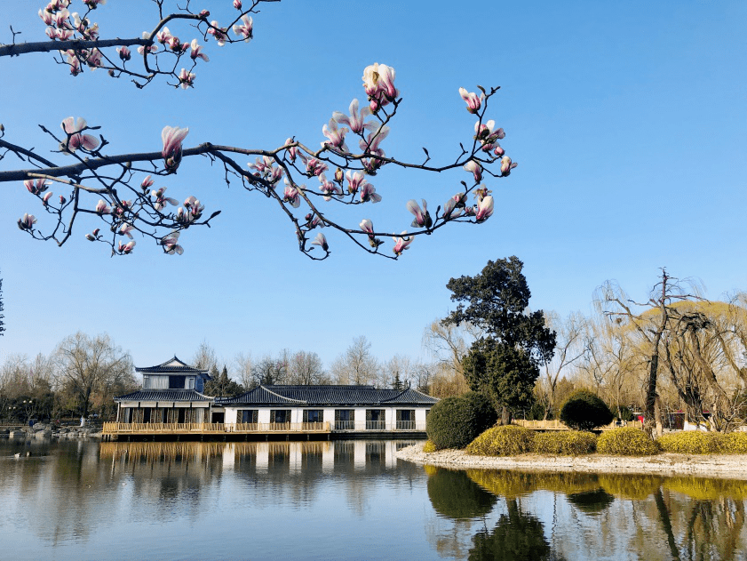 【遠方不遠】石景山尋春溜達指南(下)_park_玉蘭_郎園