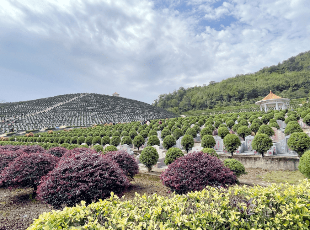陵园墓区严防控 建议错峰祭扫