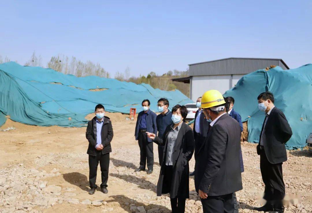4月5日,洛宁县委书记王淑霞到上戈镇调研产业项目建设,乡村旅游和连宝