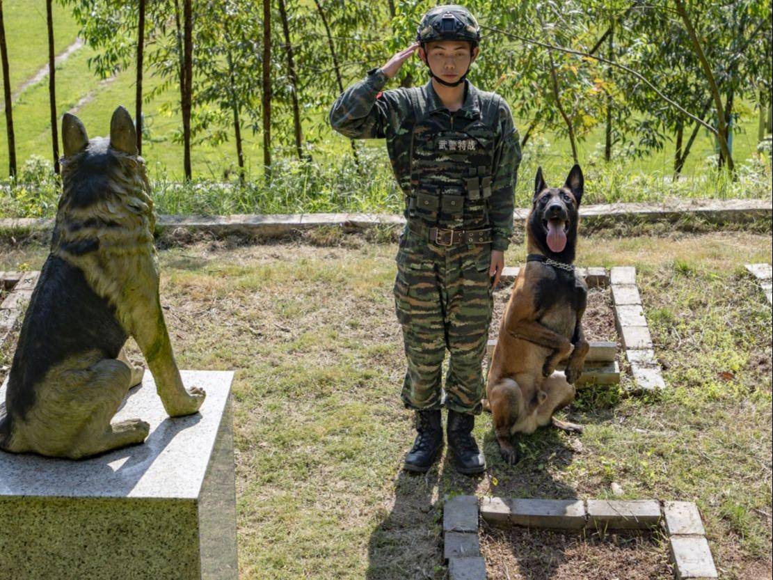 手捧鲜花整齐列队,向长眠地下功勋军犬献花,默哀,敬礼