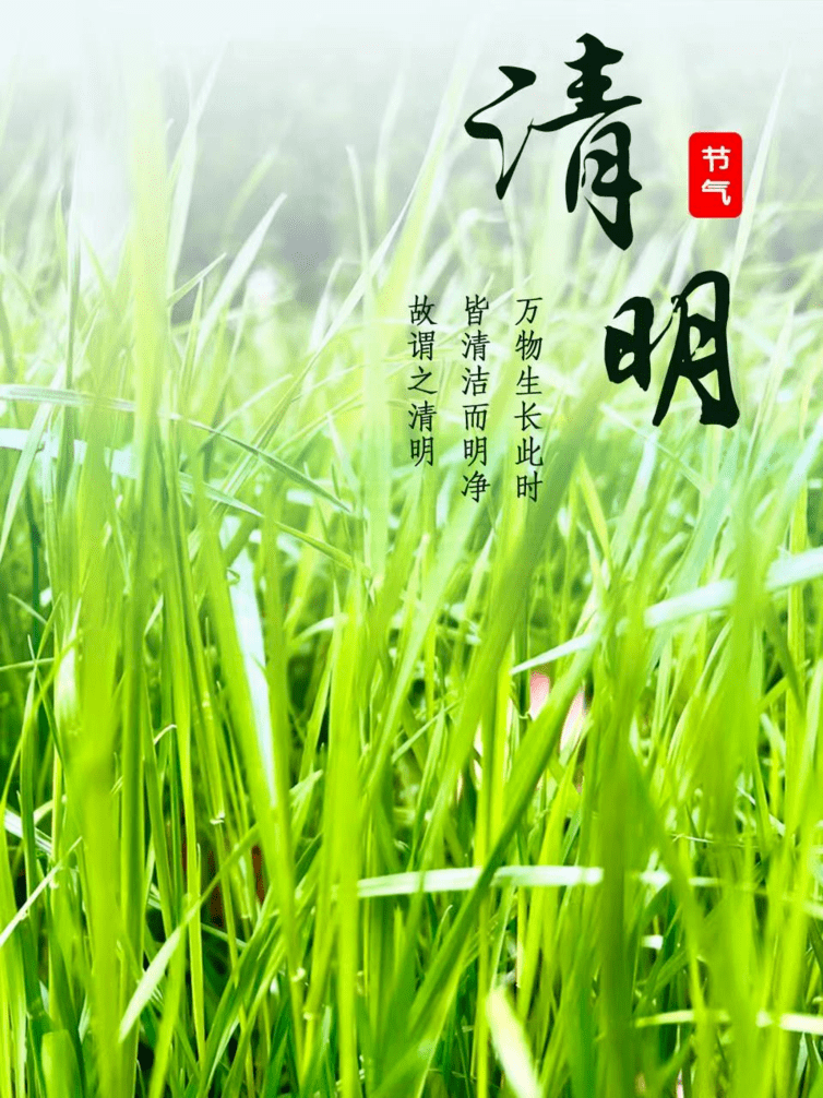 清风化雨思念绵长
