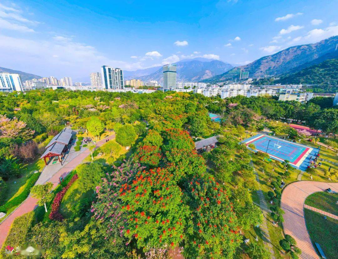 建成易园和河滨公园雾森景观,立体绿化花化独特景观,城市建成区绿地率