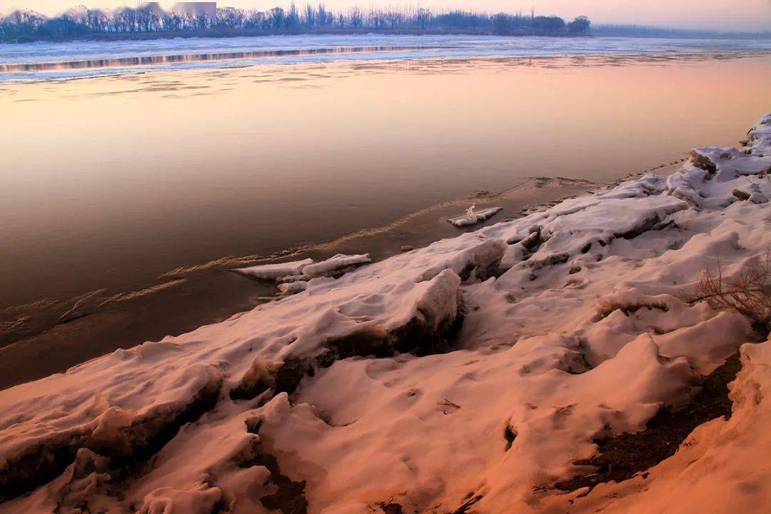 黄河岸边春来早_乌海_盛公_鄂尔多斯