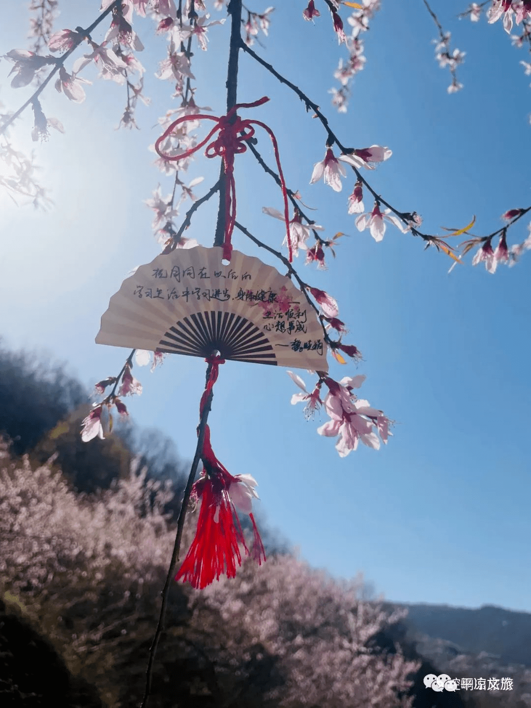 快報(三)假日進入尾聲,全市文化旅遊產品供給充足_遊客_景區_崆峒山