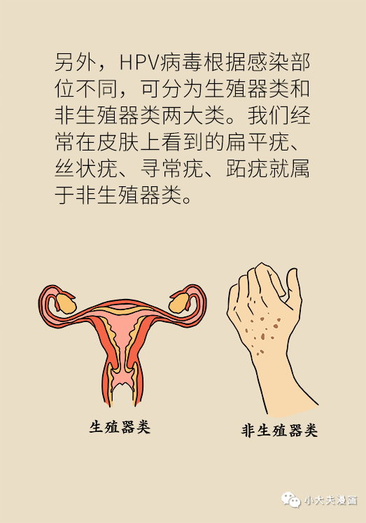 這個小物件讓皮膚病傳遍全身還和hpv感染有關係