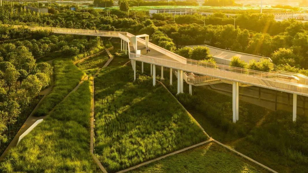 高新打造立体复合通道1700亩雁南公园再引热议