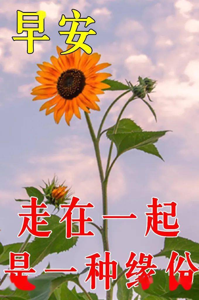 4月6日早上好祝福语图片大全 问候动态表情图片大全 一个人 人生 习惯