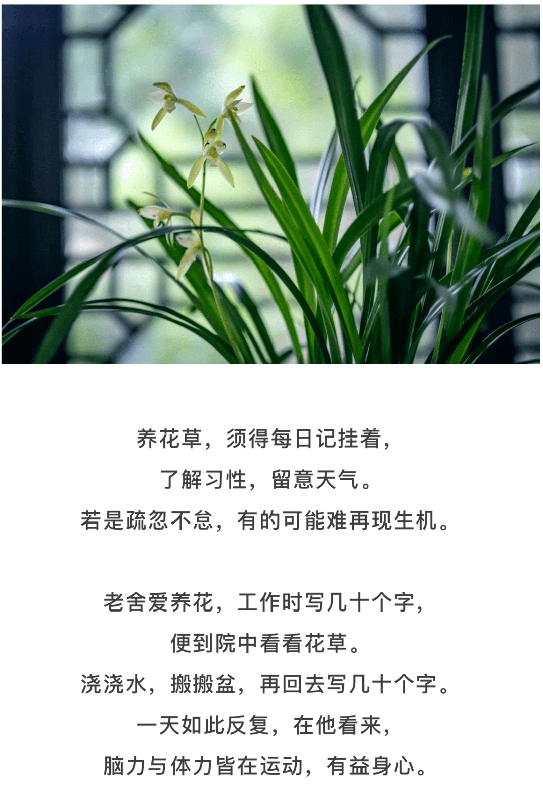 最好的养生是沾花惹草