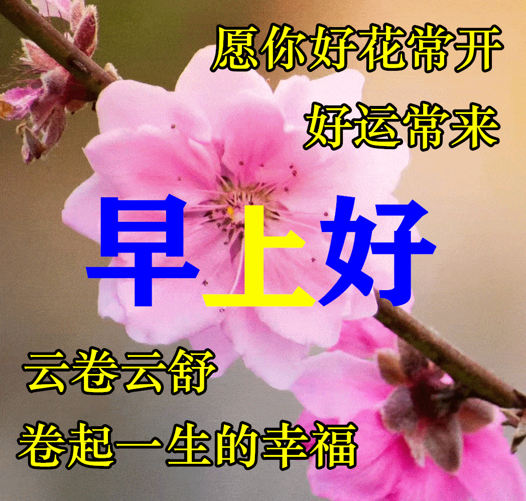 明慧网2022年01月20日星期四全部文章, image size:1048x998