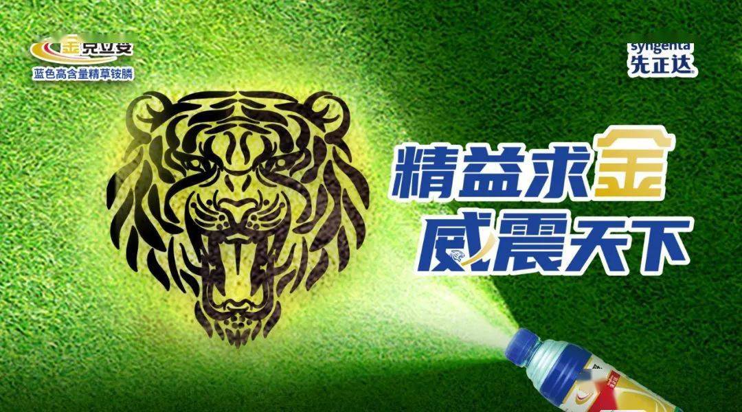 杆菌_杀虫剂_苏云