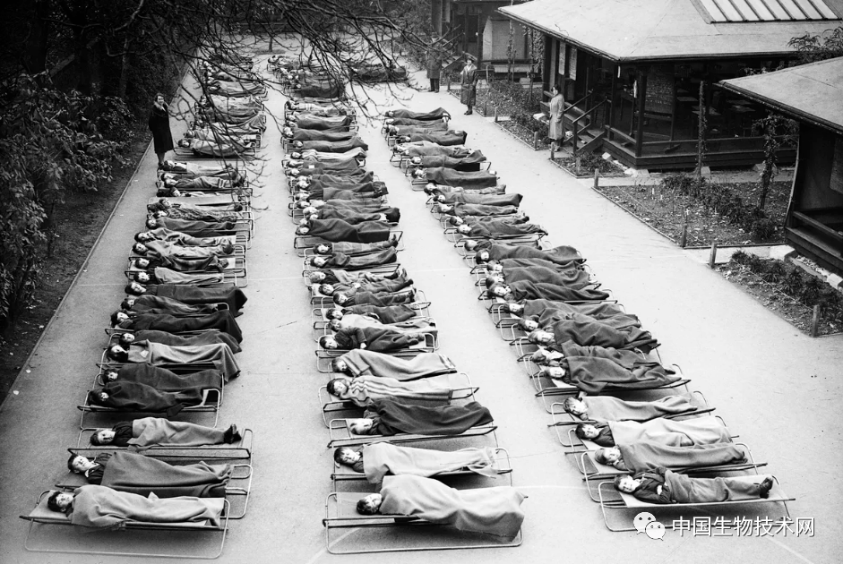 关于结核病零号病人的线索