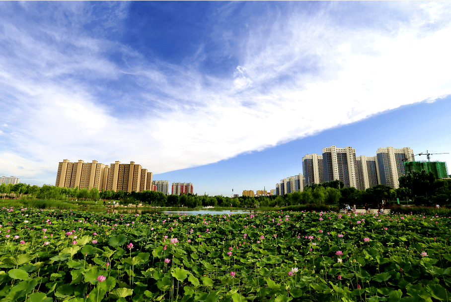 赵州美景澄波公园