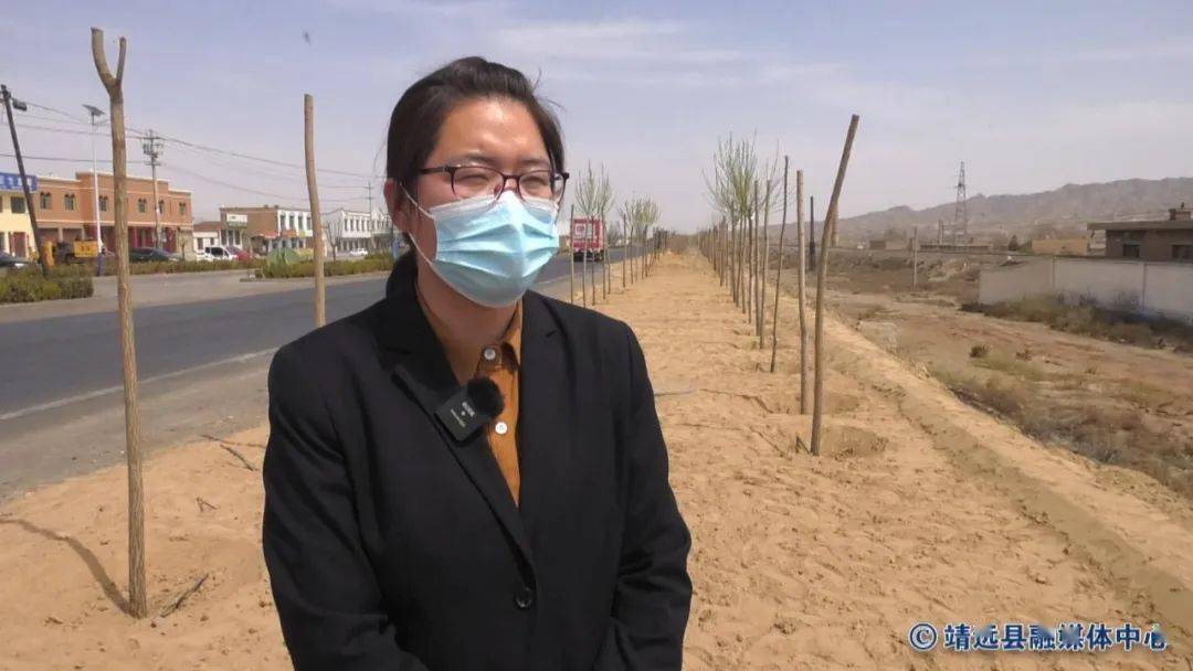 靖远刘川植树造林为生态廊道建设增绿添彩