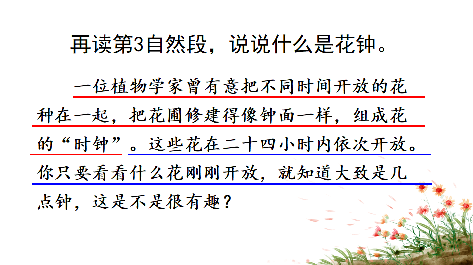 【课件】三年级语文下册 课文13《花钟》