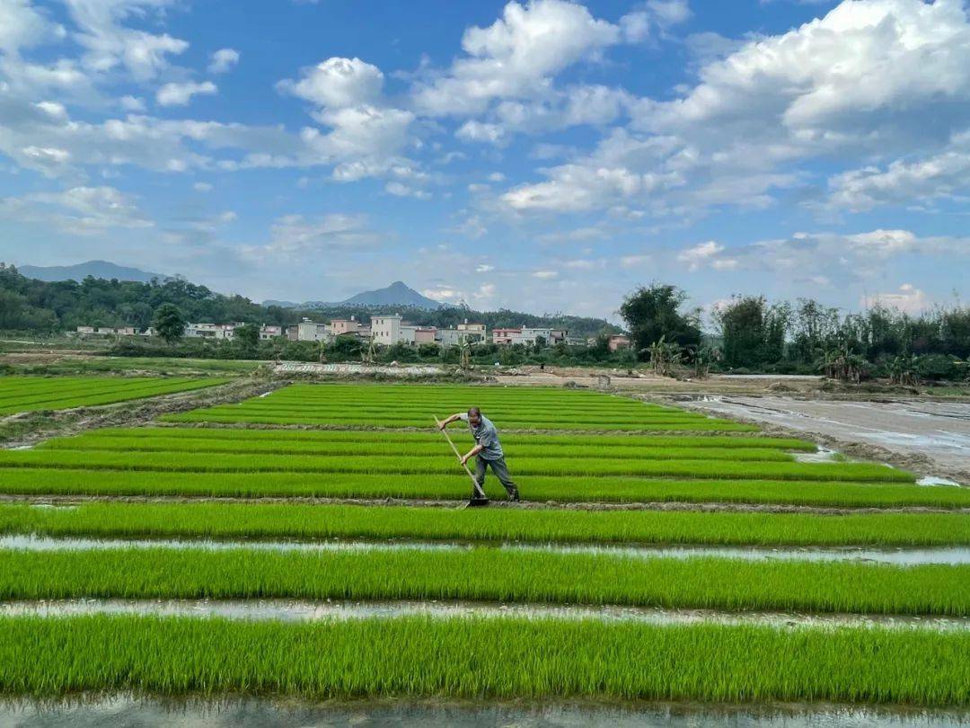 清理水圳保高岗村1500亩农田春耕用水