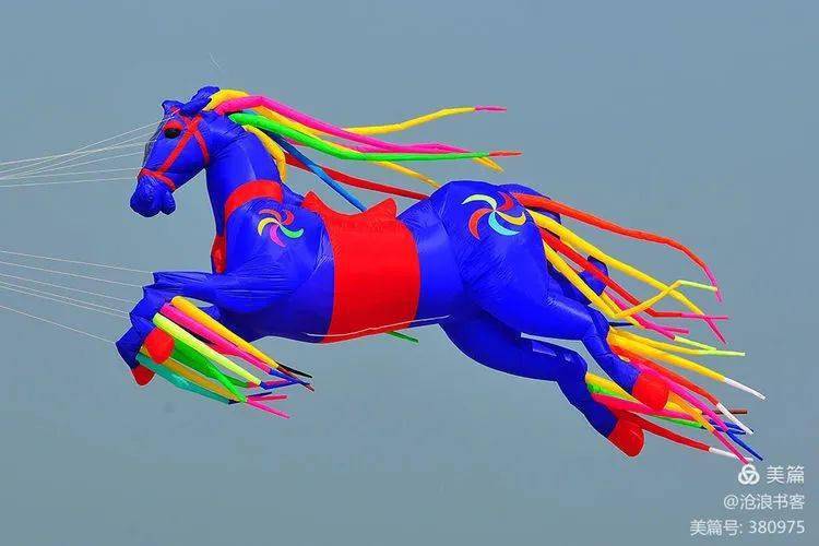 陈华安摄影丨让传统放飞风筝活动展示出健身娱乐新魅力