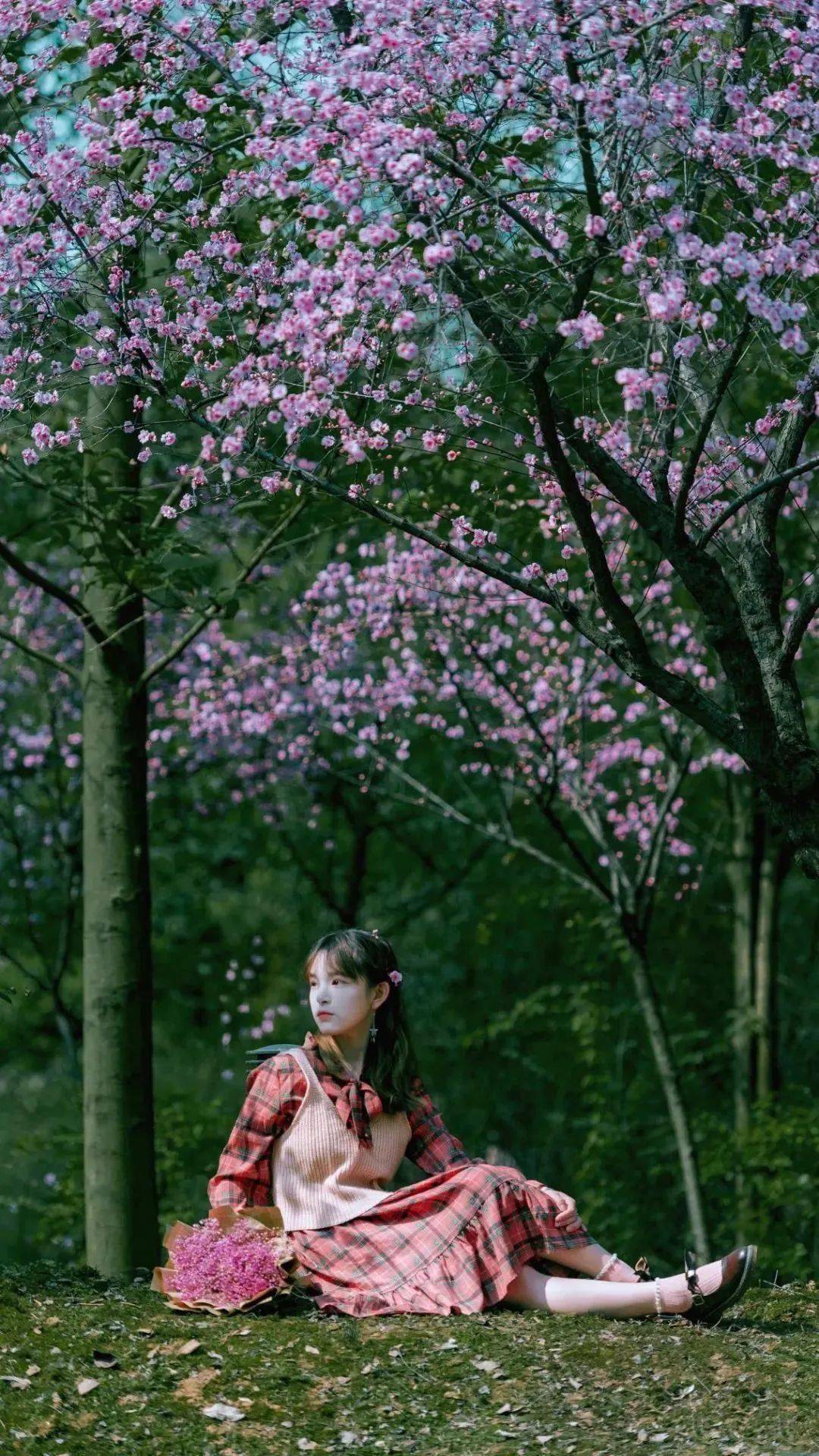 美翻了!四川高校春景人像照2.0上线!