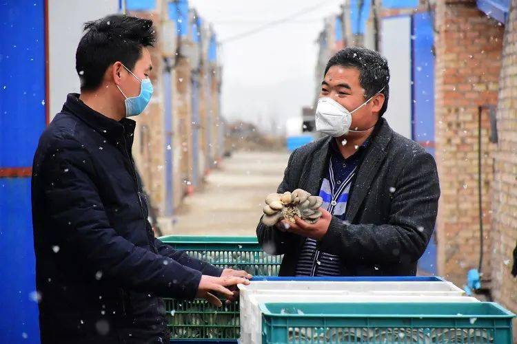 两会深度报道王益区用心用情用力写好乡村振兴大文章